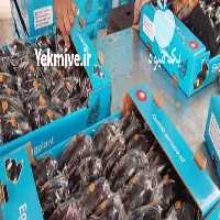 آگهی مشابه فروش محصولات کشاورزی گلخانه ای و جالیزی جیرفت در کرمان  در گروه اجاره سردخانه - محصولات کشاورزی میوه صنعتی تنی در یکمیوه