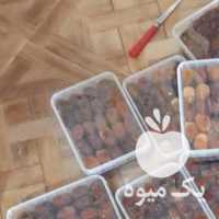 آگهی مشابه فروش عمده ای انواع خرما و رطب صادراتی در تهران در گروه خرید فروش عمده خرما - کبکاب تازه زاهدی خشک خارک در یکمیوه