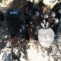 آگهی مشابه فروش موتور کمباین پرکنز 1000 در بوکان در گروه خرید فروش ابزار ها و تجهیزات کشاورزی - دستی برقی ماشینی بیل کلنگ در یکمیوه