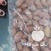 آگهی مشابه فروش قلاف شکن و برشته کن بادام زمینی در اردبیل در گروه بادام - درختی کوهی زمینی فروش عمده در یکمیوه