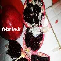 آگهی مشابه فروش نهال انار درجه یک وصادراتی اشکفتو ریشه دار   در اصفهان در گروه خرید فروش عمده انار - ساوه شیراز شیرین ترش در یکمیوه