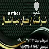 آگهی مشابه فروش صادرات به روسیه در رشت در گروه واردات و صادرات - محصولات کشاورزی دامداری دام ایران زعفران برنج در یکمیوه