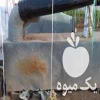 آگهی مشابه فروش بخاری گلخانه مرغداری فن مشعل 3 5  1 3 در کره ای در گروه خرید فروش تجهیزات گلخانه - صنعتی خانگی هوشمند دست دوم در یکمیوه