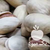 آگهی مشابه فروش عمده پسته در تهران در گروه بادام - درختی کوهی زمینی فروش عمده در یکمیوه