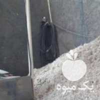 آگهی مشابه فروش پوشال چوب اسطبل اسب و مرغداری در اصفهان در گروه خرید فروش عمده چوب- زغال چوب گردو تبریزی خام در یکمیوه