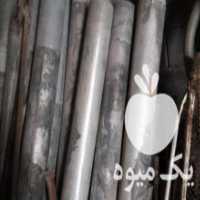 آگهی مشابه فروش گلخانه کشاورزی در اسفراین در گروه خرید فروش تجهیزات گلخانه - صنعتی خانگی هوشمند دست دوم در یکمیوه