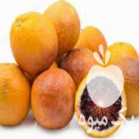 آگهی مشابه فروش نهال پرتقال خونی پیوندی مورو در ساری در گروه اجاره سردخانه - محصولات کشاورزی میوه صنعتی تنی در یکمیوه