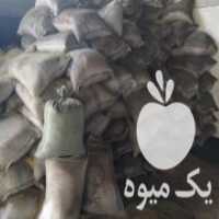 آگهی مشابه فروش خاک اره نرم شکری در آمل در گروه خرید فروش عمده چوب- زغال چوب گردو تبریزی خام در یکمیوه