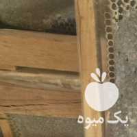 آگهی مشابه فروش شیره انگور و ارده گردو بادام انجیر توت خشک الو در تهران در گروه عسل شیره و فرآورده ی مربا - طبیعی گون کوهی آویشن در یکمیوه