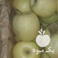 آگهی مشابه فروش خواهان سیب درجه 2 سردخانه هستم در ارومیه در گروه خرید فروش عمده سیب - زرد و قرمز گلاب پاییزه در یکمیوه