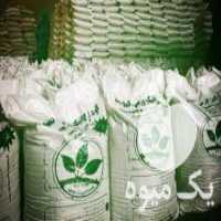 آگهی مشابه فروش ورمی کمپوست ، خاکبرگ ،  پلیت مرغی ،  بیو کمپوست در بندرعباس در گروه خرید فروش عمده گیاهان زینتی - گرمسیری آپارتمانی باغچه آب در یکمیوه