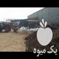 آگهی مشابه فروش خاک کمپوست در اصفهان در گروه خرید فروش نشا - انواع گوجه برنج کاهو پیاز کاری فرنگی در یکمیوه