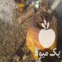 آگهی مشابه فروش جعبه دنده چاه عمیق سالم سالم در اسلامشهر در گروه خرید فروش سایر محصولات تجهیزات کشاورزی در یکمیوه