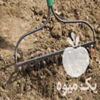 آگهی مشابه فروش مکمل خاکبار باغچه هایی که خاکشون سفت شده در مشهد در گروه خرید فروش کود و مواد شیمیایی - اوره پتاس مرغی کمپوست آهن در یکمیوه