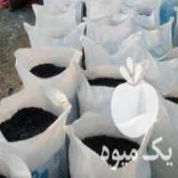 آگهی مشابه فروش مداد آسیاب شده سبد مشگی در بناب در گروه خرید فروش انواع سبد - میوه پلاستیکی چوبی گل در یکمیوه