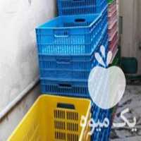 آگهی مشابه فروش انواع سبد لبنیات در قائم شهر در گروه خرید فروش انواع سبد - میوه پلاستیکی چوبی گل در یکمیوه