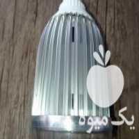 آگهی مشابه فروش لامپ رشد گل و گیاه 54 وات فول اسپکتروم در کرمانشاه در گروه خرید فروش عمده گیاهان زینتی - گرمسیری آپارتمانی باغچه آب در یکمیوه