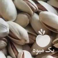 آگهی مشابه فروش پسته اکبری کله قوچی در تهران در گروه آجیل - فروش عمده محصولات در یکمیوه