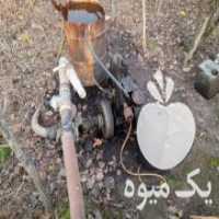 آگهی مشابه فروش موتو مارگو دیزلی ابدرگردش در بهمن در گروه خرید فروش سایر محصولات تجهیزات کشاورزی در یکمیوه
