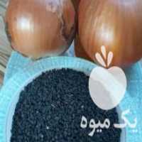 آگهی مشابه فروش انواع بذر وباقلا در تبریز در گروه خرید فروش عمده پیاز - قرمز سفید زرد ترشی تازه انباری در یکمیوه