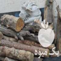 آگهی مشابه فروش تنه درخت چنار وکاج خشک در مشهد در گروه خرید فروش سایر محصولات تجهیزات کشاورزی در یکمیوه