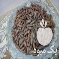 آگهی مشابه فروش بلوط برای خوراک دام در خرم آباد در گروه خوراک دام و طیور - پرواری شیری علوفه یونجه در یکمیوه