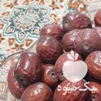 آگهی مشابه فروش عناب و زعفران محصول ارگانیک از مزارع خراسان جنوبی در تهران در گروه میوه های خشک - پرتقال سیب حبه ورق صنعتی خانگی در یکمیوه