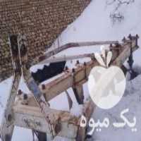 آگهی مشابه فروش گاوآهن 4 خشت در آبگرم در گروه خرید فروش ماشین آلات کشاورزی - تراکتور تیلر کمباین مدرن در یکمیوه