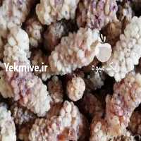 آگهی مشابه فروش توت خشک   در تهران در گروه خرید فروش عمده توت - خرید شاتوت سفید طلایی موزی قرمز در یکمیوه