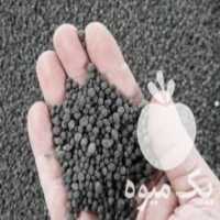 آگهی مشابه فروش کود سیاه برای درخت و زمین کشاورزی در بروجرد در گروه خرید فروش عمده برنج - نیم دانه عنبر بو هاشمی کاظمی هندی پاکستانی در یکمیوه