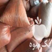 آگهی مشابه فروش پوست بادام زمینی در آستانه اشرفیه در گروه خرید فروش عمده چوب- زغال چوب گردو تبریزی خام در یکمیوه