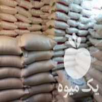 آگهی مشابه فروش پخش برنج طارم شمال و عنبربو چمپا جنوب ،  برنج هندی در قم در گروه خرید فروش عمده برنج - نیم دانه عنبر بو هاشمی کاظمی هندی پاکستانی در یکمیوه