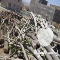 آگهی مشابه مرکز خرید انواع چوب در بوکان در گروه خرید فروش عمده چوب- زغال چوب گردو تبریزی خام در یکمیوه