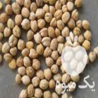 آگهی مشابه فروش نخود به صورت عمده در آشخانه در گروه خرید فروش عمده نخود - فرنگی خام سبز فروش عمده در یکمیوه