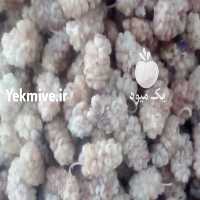 آگهی مشابه فروش توت خشک محلی برگه زردآلو   در یزد در گروه خرید فروش عمده آلو - آلوچه گوجه سبز زرد خاکی شابلون سانتریزه سیاه در یکمیوه