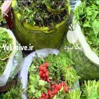 آگهی مشابه فروش سبزی تازه و خرد شده و آماده طبخ   در کرمانشاه در گروه خرید فروش عمده سبزی های برگی - خوردن آش کوکو دلمه قورمه در یکمیوه