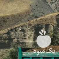 آگهی مشابه فروش پخش کود حیوانی گاوی گوسفندی درکل تهران خاک باغچه در گروه خرید فروش کود و مواد شیمیایی - اوره پتاس مرغی کمپوست آهن در یکمیوه