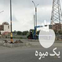آگهی مشابه فروش نهال شلیل زود رس حسن پور در نکا در گروه خرید فروش نهال - انواع گردو پسته بادام سلطانی انگور در یکمیوه