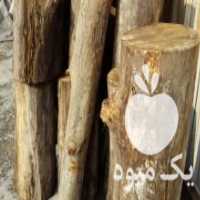 آگهی مشابه خرید انواع چوب درختان گردو چنار وغیره در تهران در گروه خرید فروش عمده چوب- زغال چوب گردو تبریزی خام در یکمیوه