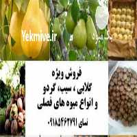 آگهی مشابه فروش مستقیم سیب و گردو و گلابی در همدان در گروه خرید فروش عمده سیب - زرد و قرمز گلاب پاییزه در یکمیوه