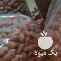 آگهی مشابه فروش پخش بادام زمینی درشهرستان گرمی بانارلترین در اردبیل در گروه بادام - درختی کوهی زمینی فروش عمده در یکمیوه