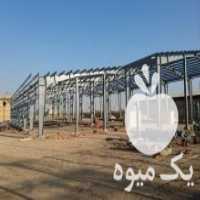 آگهی مشابه کارخانه ساخت اسکلت فلزی ، خرید و فروش سوله دست دوم در کهریزک در گروه اجاره سردخانه - محصولات کشاورزی میوه صنعتی تنی در یکمیوه