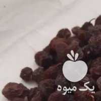 آگهی مشابه فروش عمده کشمش دو و سه در تهران در گروه عسل شیره و فرآورده ی مربا - طبیعی گون کوهی آویشن در یکمیوه