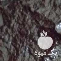 آگهی مشابه فروش رب انار شیره انگور توت انجیر خرما سطلی در اهواز در گروه انواع رب - گوجه انار نارنج خانگی سیب عمده در یکمیوه