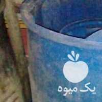 آگهی مشابه فروش دبه زیتون و برنج در سایز های مختلف در رشت در گروه خرید فروش عمده برنج - نیم دانه عنبر بو هاشمی کاظمی هندی پاکستانی در یکمیوه