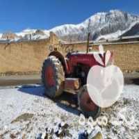 آگهی مشابه فروشی تراکتور هانوماگ در اصفهان در گروه خرید فروش ماشین آلات کشاورزی - تراکتور تیلر کمباین مدرن در یکمیوه