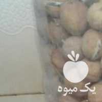 آگهی مشابه فروش لیموخشک 52000  خرما خاصوئی در تهران در گروه خرید فروش عمده خرما - کبکاب تازه زاهدی خشک خارک در یکمیوه