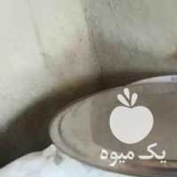 آگهی مشابه فروش پنیر لیقوان گوسفندی روستا در تهران در گروه انواع فرآورده های لبنی و حیوانی - ماست کره فروش عمده در یکمیوه