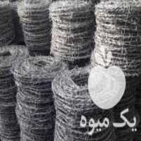 آگهی مشابه فروش ارزان سیم خاردار و توری فرنگی و توری پرسی و توری مرغی و در تنکابن در گروه خرید فروش سایر محصولات تجهیزات کشاورزی در یکمیوه