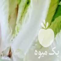 آگهی مشابه فروش کاهو محلی درجه یک در آمل در گروه خرید فروش عمده کاهو - رسمی پیچ سالادی فرانسوی چینی قرمز در یکمیوه